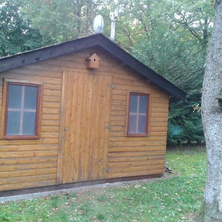 Вілла Chalet Imme Resteigne Екстер'єр фото